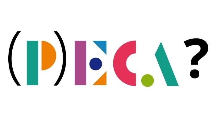 Journée PECA à destination du secteur culturel et des écoles